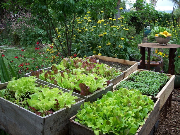 edible-landscaping-ideas-62_13 Ядливи идеи за озеленяване