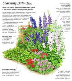 english-cottage-garden-plants-46_12 Английска вила градински растения