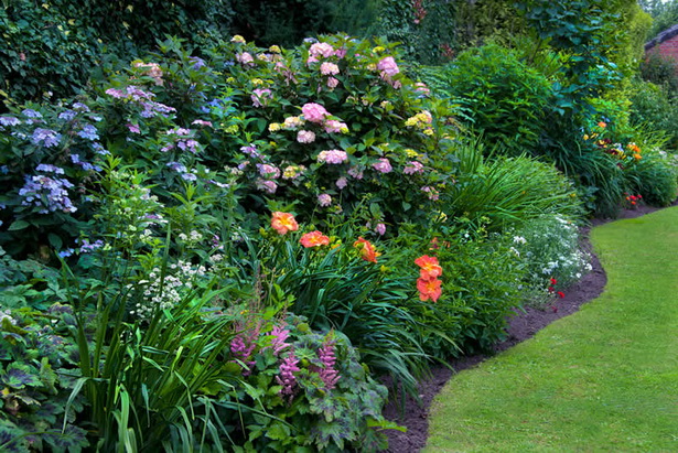 english-cottage-garden-plants-46_14 Английска вила градински растения