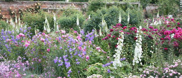 english-cottage-garden-plants-46_15 Английска вила градински растения