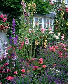 english-cottage-garden-39_4 Английска вила градина