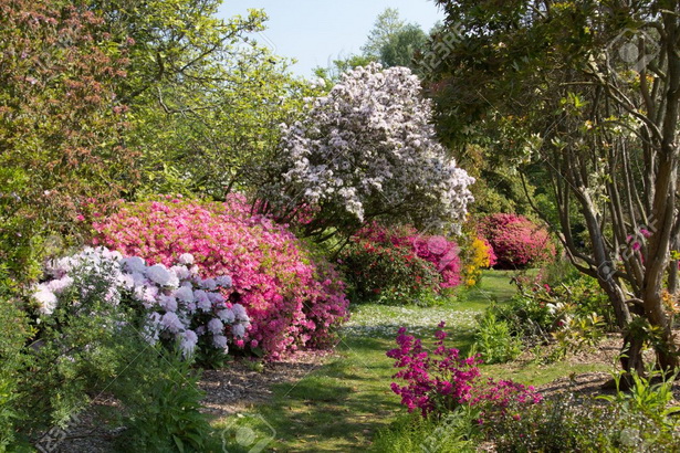 english-country-garden-pictures-33_4 Английски селски градина снимки