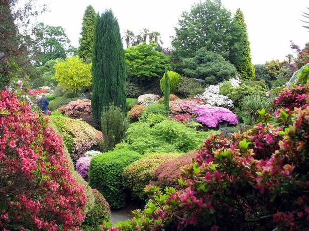 english-country-garden-pictures-33_7 Английски селски градина снимки