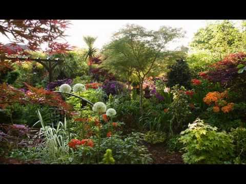 english-country-garden-78_11 Английска селска градина
