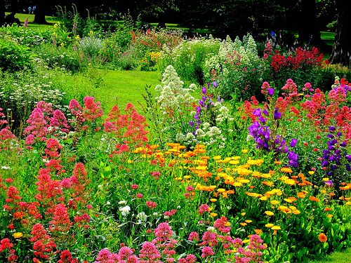 english-flower-garden-20_6 Английска цветна градина