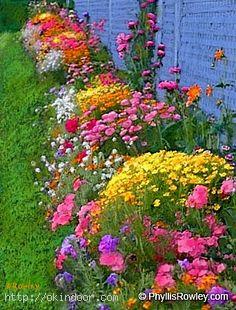 english-flower-garden-20_8 Английска цветна градина