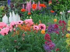 english-flower-garden-20_9 Английска цветна градина