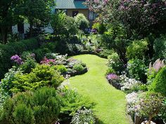 english-front-garden-ideas-46_13 Английски идеи за предната градина