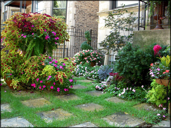 english-garden-designers-78_12 Английски градински дизайнери