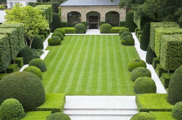 english-garden-hedges-38_11 Английски градински жив плет