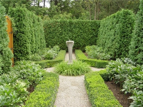 english-garden-hedges-38_16 Английски градински жив плет