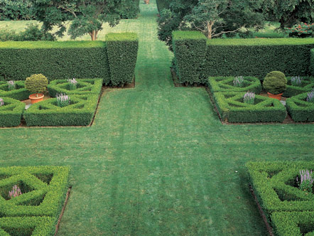 english-garden-hedges-38_4 Английски градински жив плет