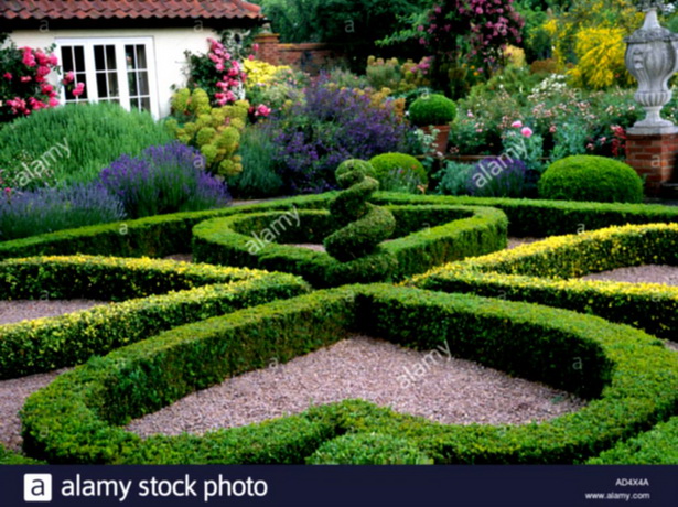 english-garden-hedges-38_7 Английски градински жив плет