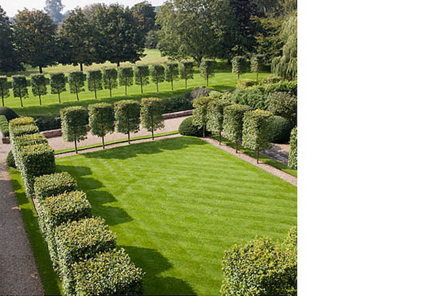 english-garden-hedges-38_8 Английски градински жив плет