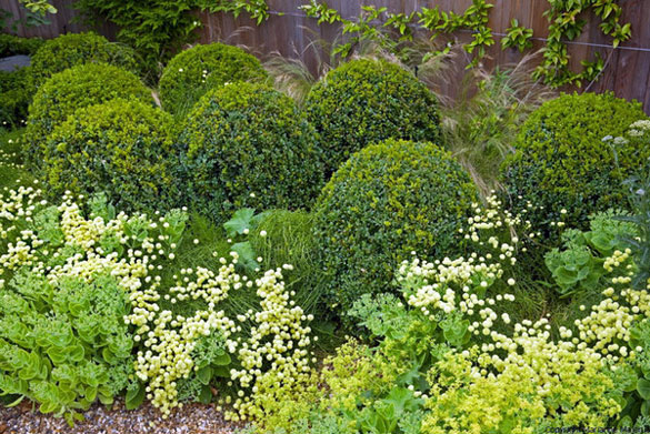 english-garden-landscaping-ideas-51_6 Английски идеи за озеленяване на градината