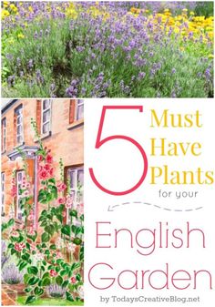english-garden-plants-70_12 Английски градински растения