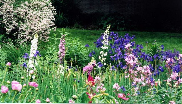 english-garden-plants-70_2 Английски градински растения