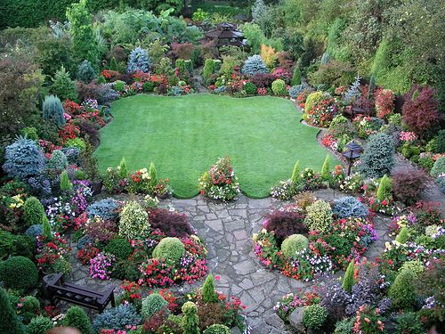 english-garden-shrubs-35 Английски градински храсти