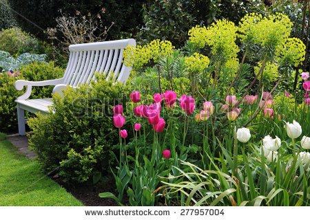 english-garden-shrubs-35_4 Английски градински храсти