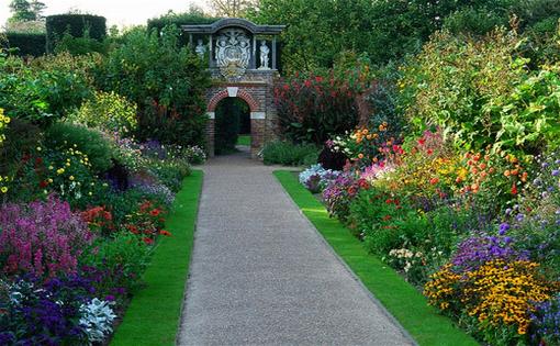 english-garden-shrubs-35_6 Английски градински храсти