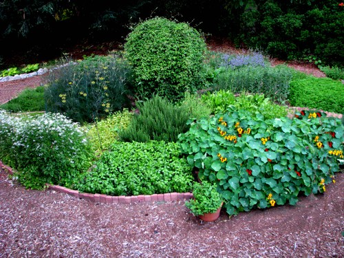 english-herb-garden-design-88_12 Английски билкова градина дизайн