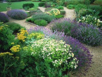 english-herb-garden-design-88_20 Английски билкова градина дизайн
