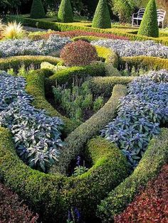 english-knot-garden-designs-27_13 Английски възел градински дизайни