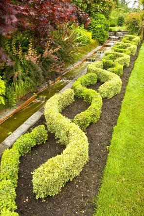 english-knot-garden-designs-27_19 Английски възел градински дизайни