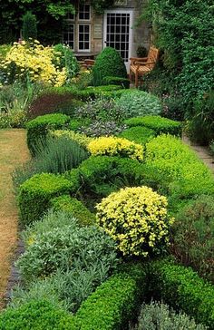 english-knot-garden-designs-27_8 Английски възел градински дизайни