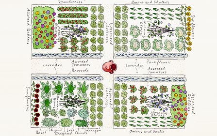 english-vegetable-garden-design-44_6 Английски дизайн на зеленчукова градина