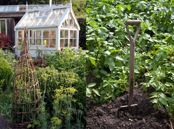 english-vegetable-garden-37_17 Английска зеленчукова градина