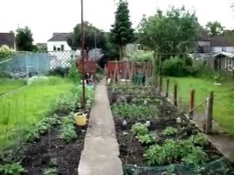 english-vegetable-garden-37_5 Английска зеленчукова градина