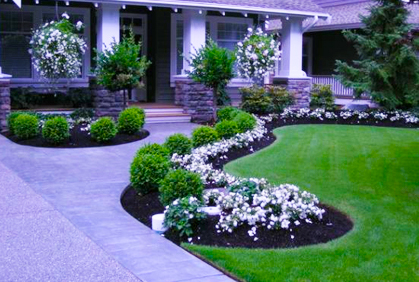 examples-of-front-yard-landscaping-31_8 Примери за озеленяване на предния двор