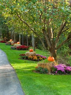 fall-landscaping-ideas-front-yard-47_17 Есен озеленяване идеи преден двор