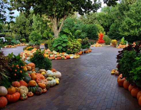 fall-landscaping-ideas-front-yard-47_18 Есен озеленяване идеи преден двор