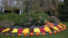 fall-landscaping-ideas-front-yard-47_3 Есен озеленяване идеи преден двор