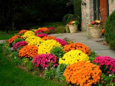 fall-landscaping-ideas-front-yard-47_5 Есен озеленяване идеи преден двор