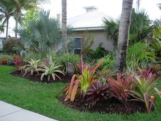 florida-front-yard-landscaping-72_5 Флорида фронт двор озеленяване