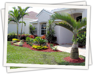 florida-landscape-design-36_3 Флорида ландшафтен дизайн