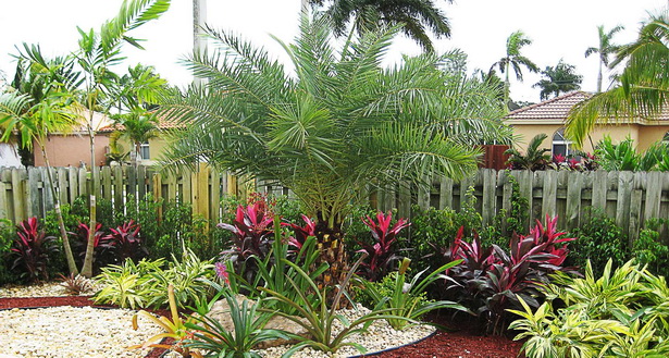 florida-landscaping-89_11 Флорида озеленяване