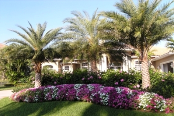 florida-landscaping-89_16 Флорида озеленяване