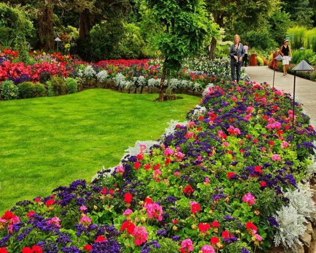 flower-beds-in-front-of-house-51_17 Цветни лехи пред къщата