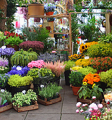 flower-garden-arrangement-ideas-39_18 Идеи за цветна градина