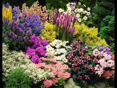 flower-garden-edging-60_15 Цветна градина кантиране