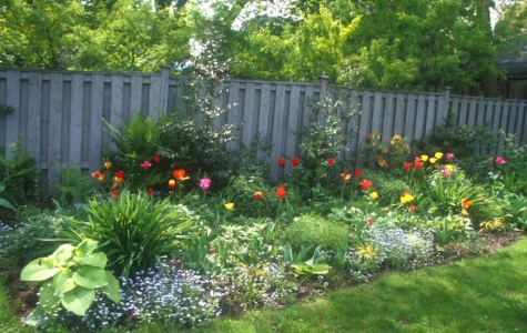 Идеи за оформление на цветна градина