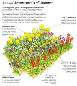flower-garden-layout-44_2 Оформление на цветна градина
