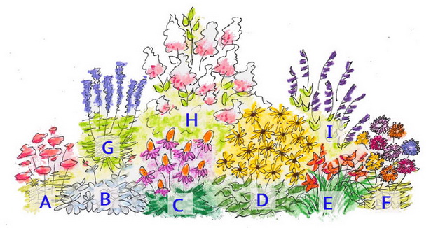 flower-garden-layout-44_9 Оформление на цветна градина