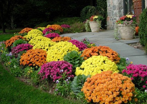 flower-landscaping-ideas-for-front-yards-83_18 Идеи за озеленяване на цветя за предни дворове