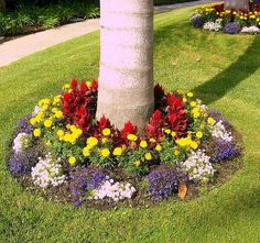 flower-landscaping-ideas-for-front-yards-83_5 Идеи за озеленяване на цветя за предни дворове