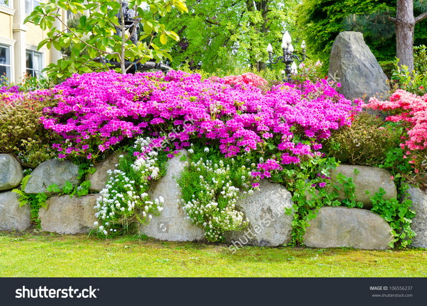 flowers-for-landscaping-front-yard-86_19 Цветя за озеленяване на предния двор